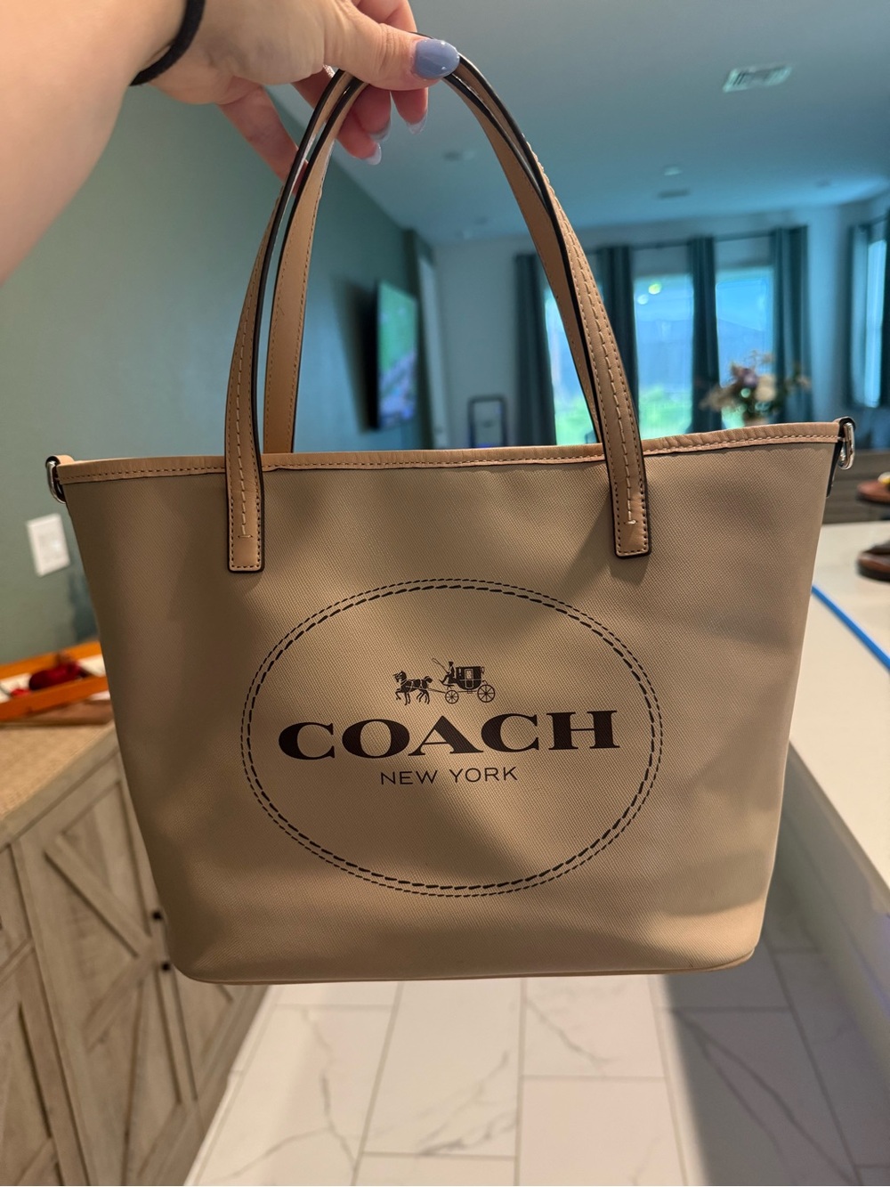 COACH Carriage City Tote Bag